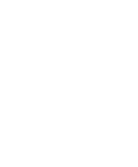 PMA Background Shape